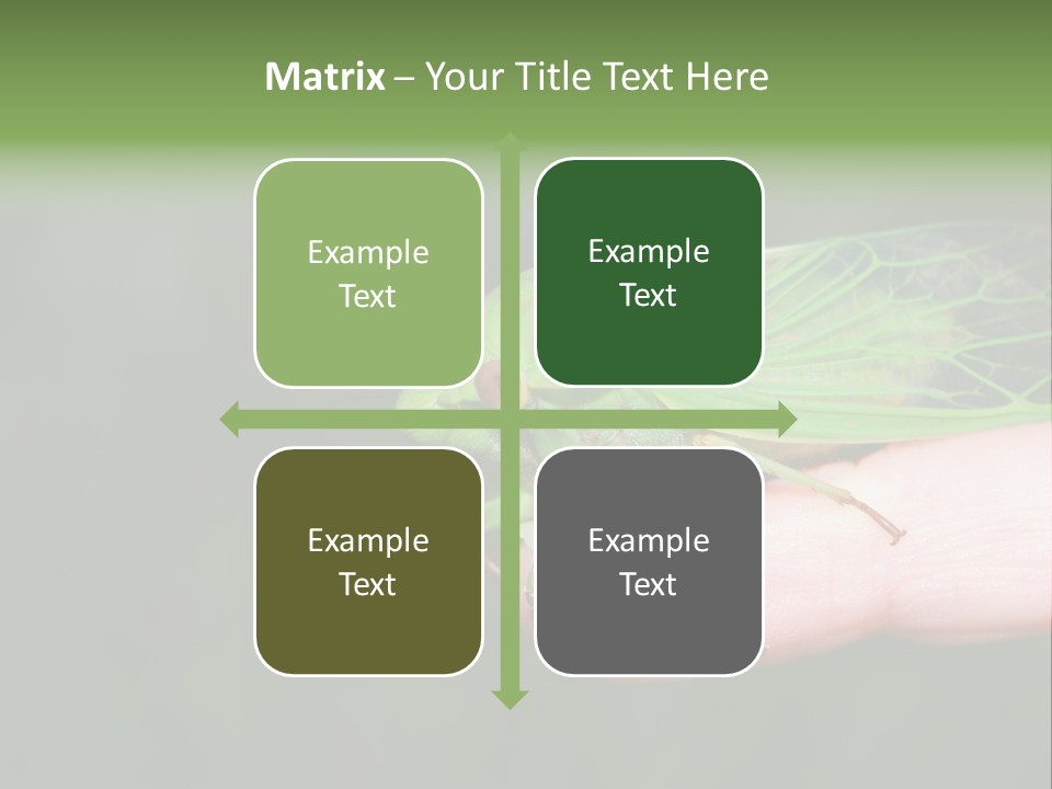 Specimen Closeup Detail PowerPoint Template