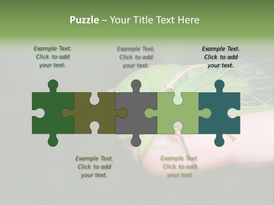 Specimen Closeup Detail PowerPoint Template