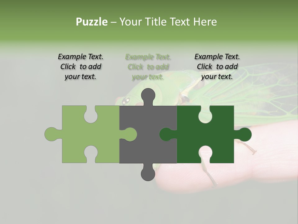 Specimen Closeup Detail PowerPoint Template