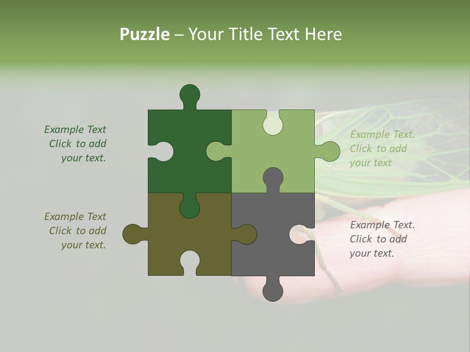 Specimen Closeup Detail PowerPoint Template