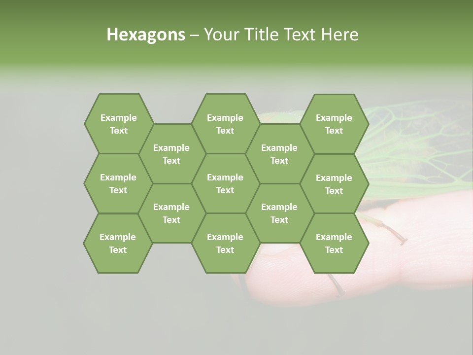 Specimen Closeup Detail PowerPoint Template