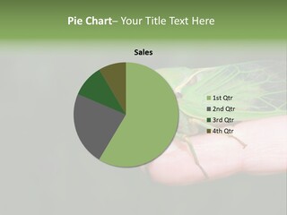 Specimen Closeup Detail PowerPoint Template