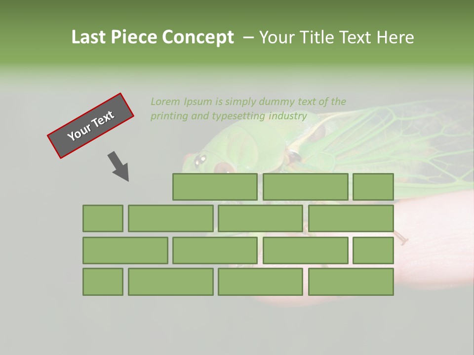Specimen Closeup Detail PowerPoint Template