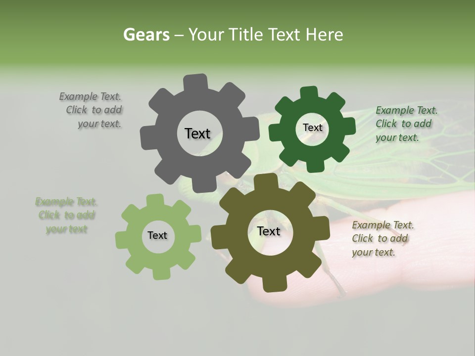 Specimen Closeup Detail PowerPoint Template