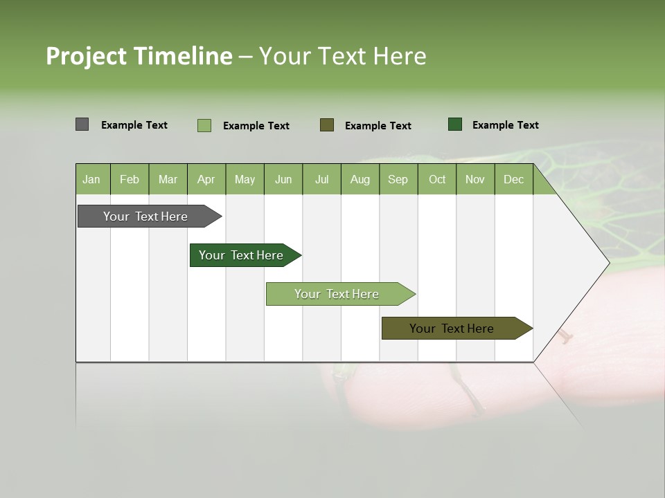 Specimen Closeup Detail PowerPoint Template