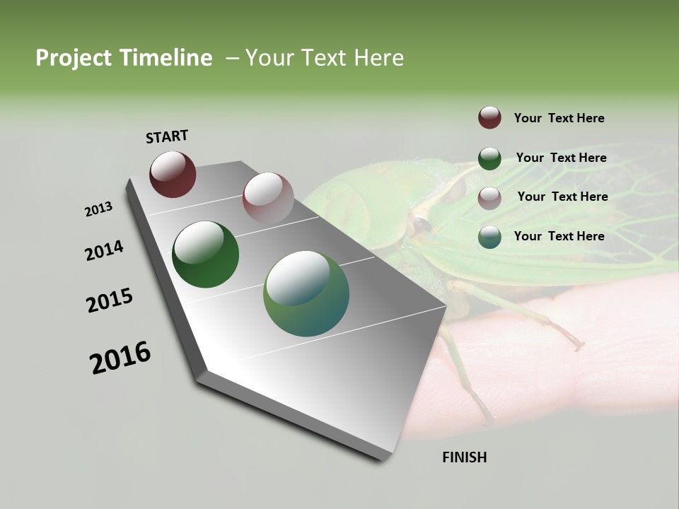 Specimen Closeup Detail PowerPoint Template