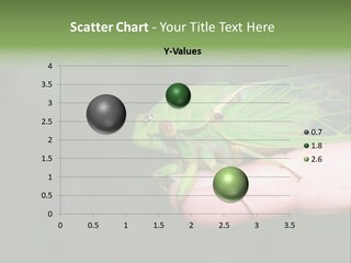 Specimen Closeup Detail PowerPoint Template