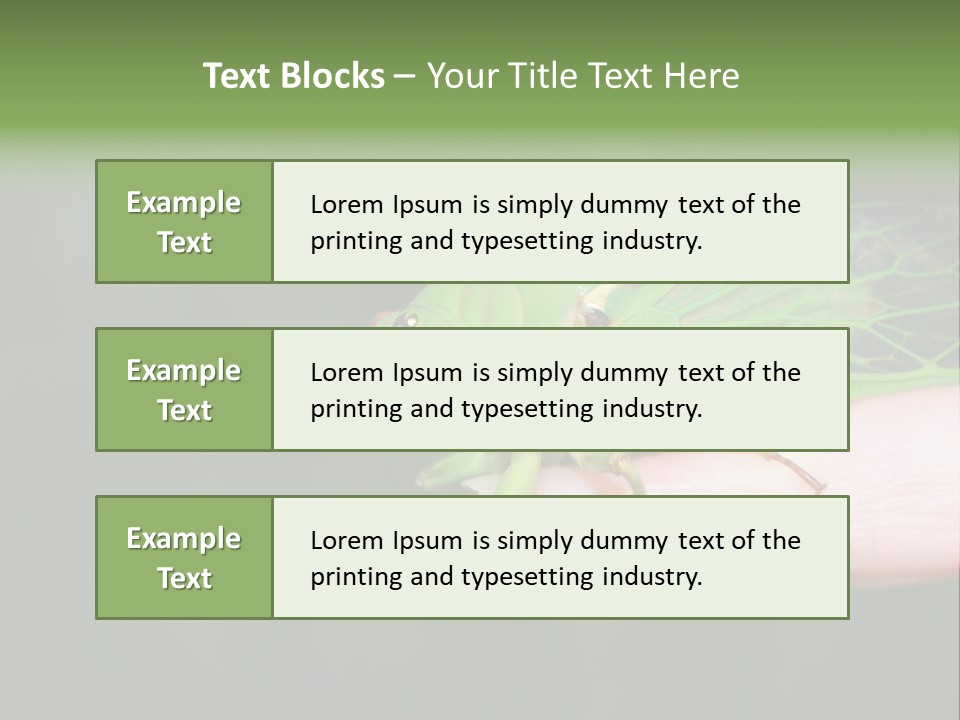 Specimen Closeup Detail PowerPoint Template