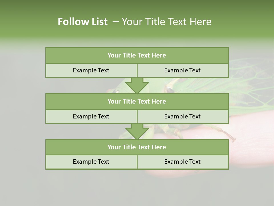 Specimen Closeup Detail PowerPoint Template