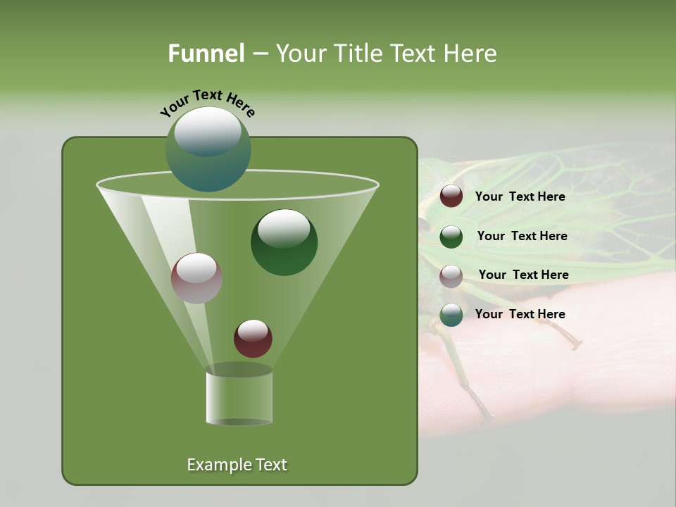 Specimen Closeup Detail PowerPoint Template