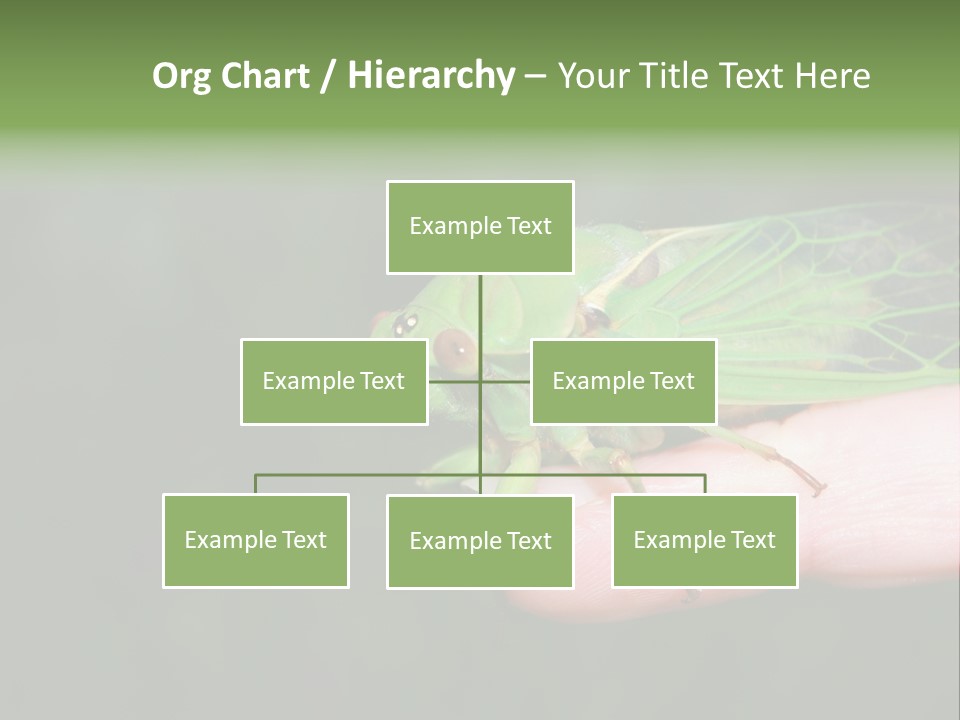 Specimen Closeup Detail PowerPoint Template