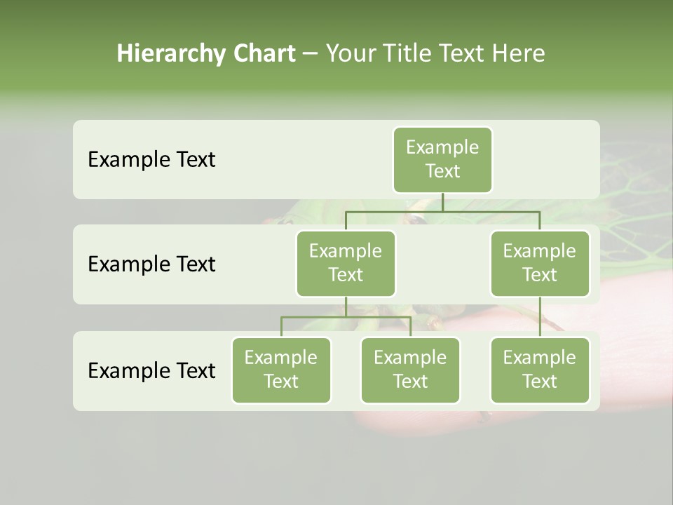 Specimen Closeup Detail PowerPoint Template