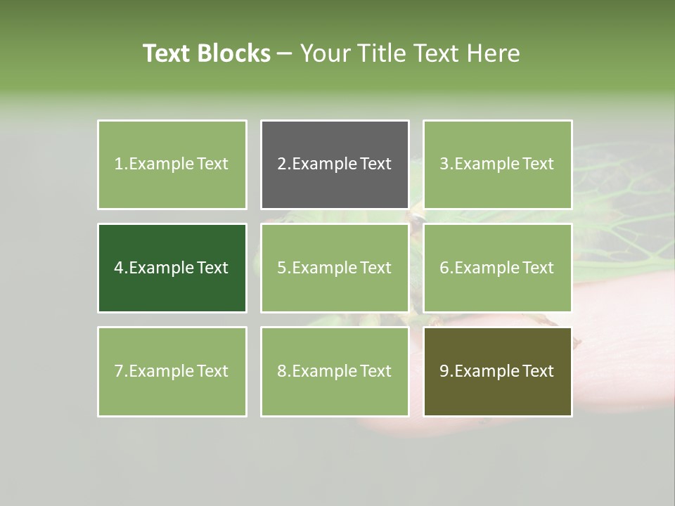 Specimen Closeup Detail PowerPoint Template