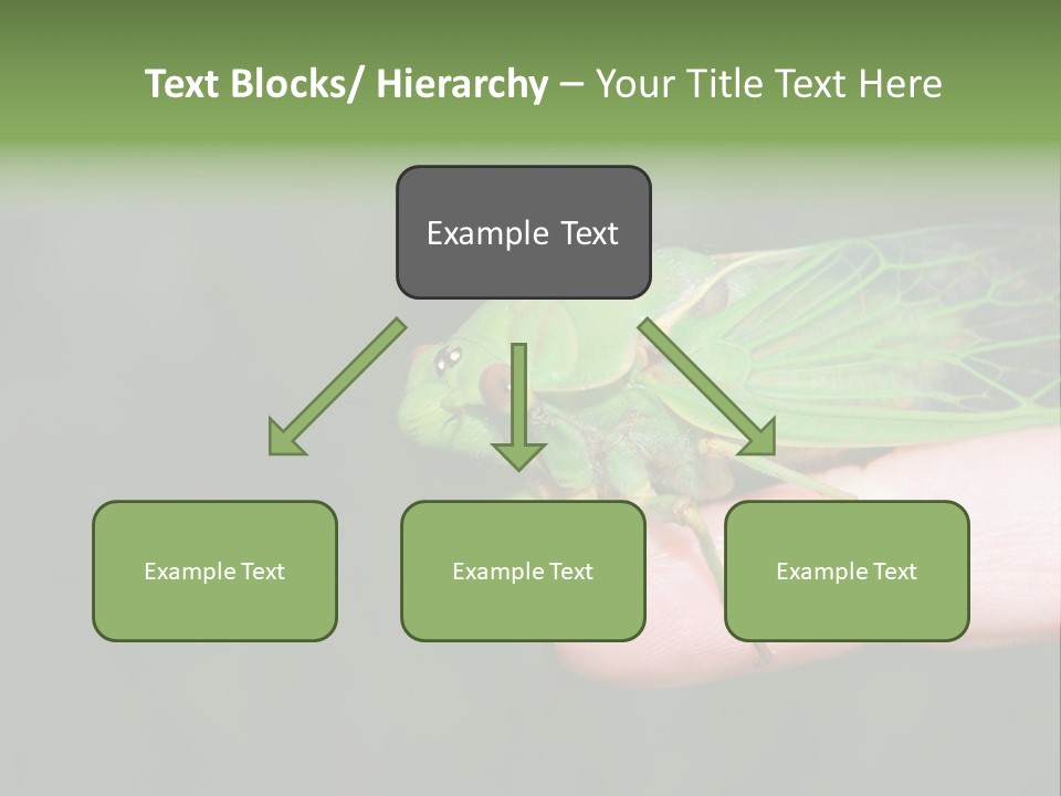 Specimen Closeup Detail PowerPoint Template