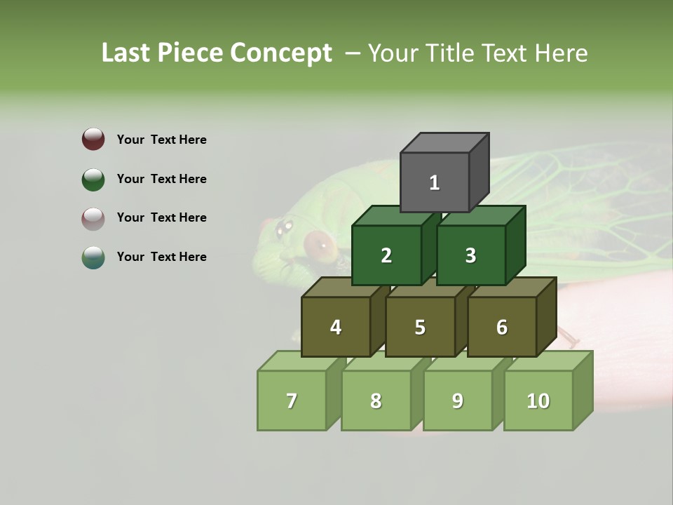 Specimen Closeup Detail PowerPoint Template
