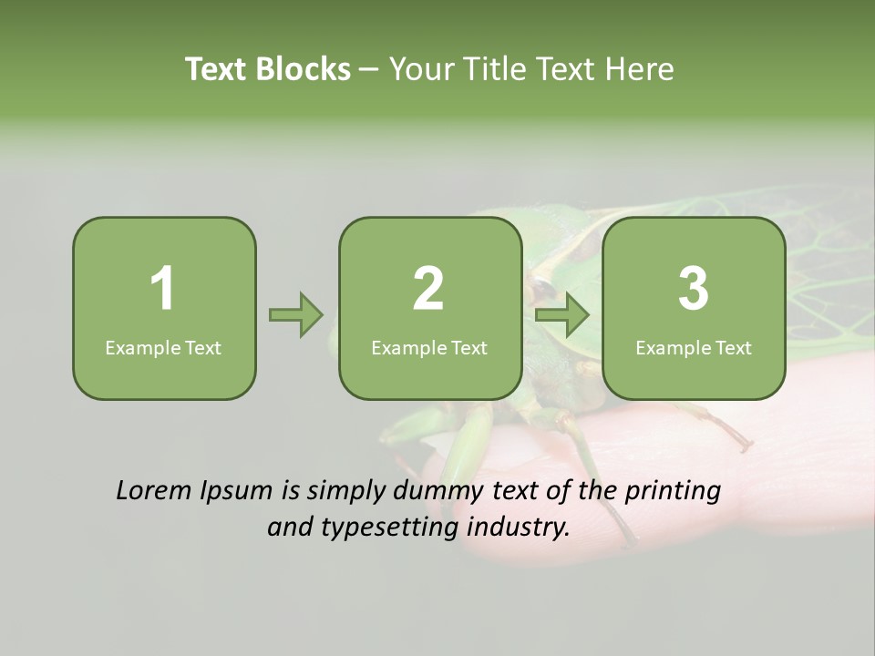 Specimen Closeup Detail PowerPoint Template