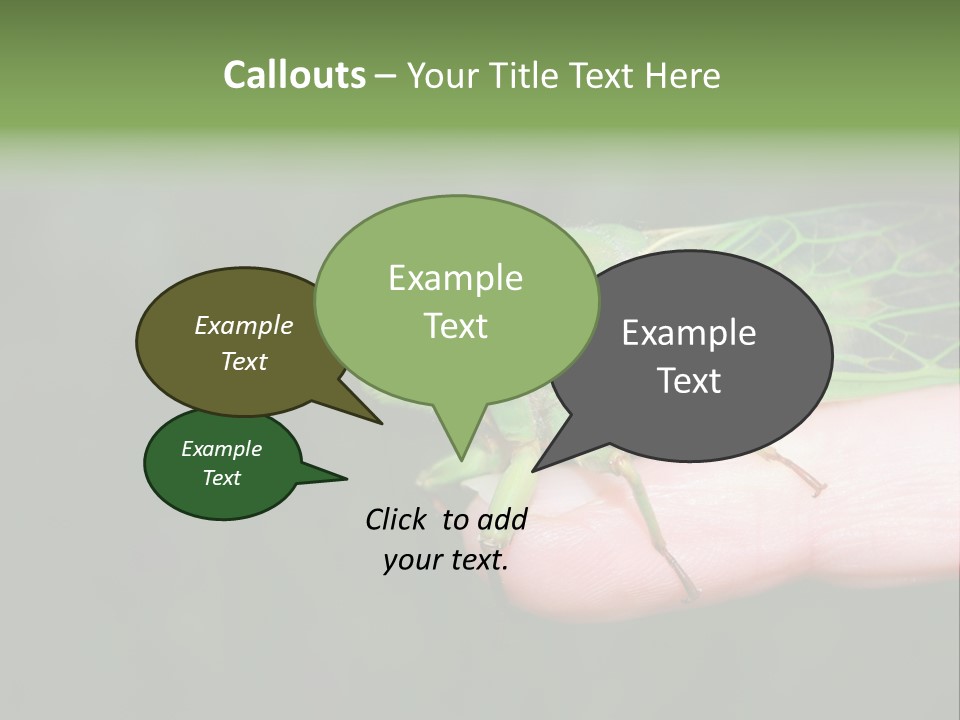 Specimen Closeup Detail PowerPoint Template