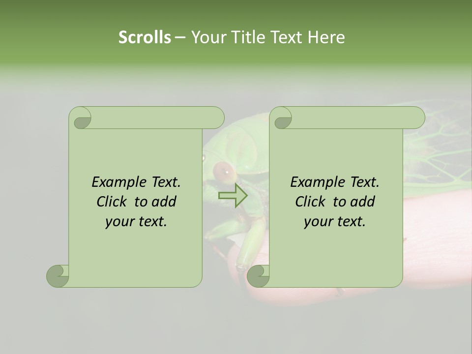 Specimen Closeup Detail PowerPoint Template