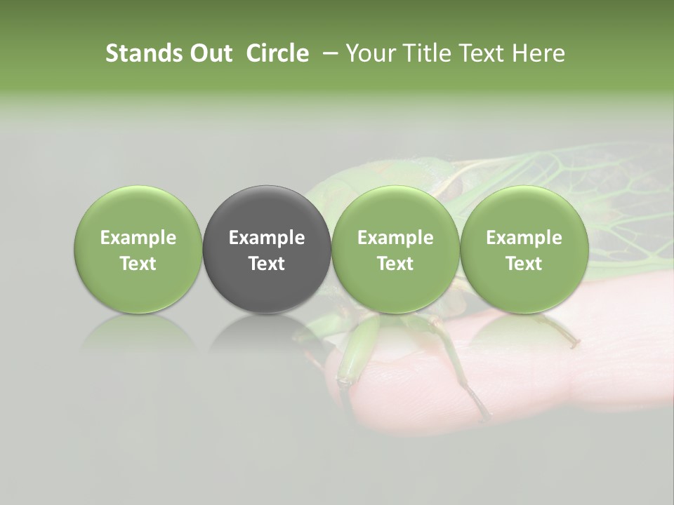 Specimen Closeup Detail PowerPoint Template