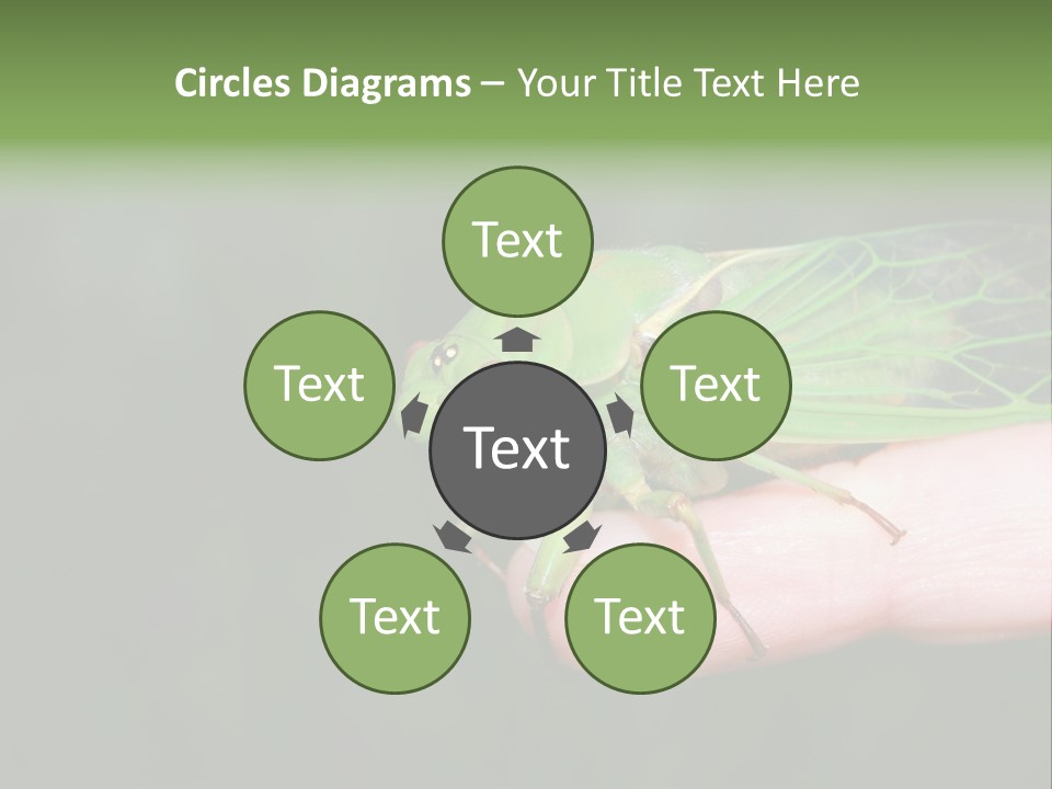 Specimen Closeup Detail PowerPoint Template