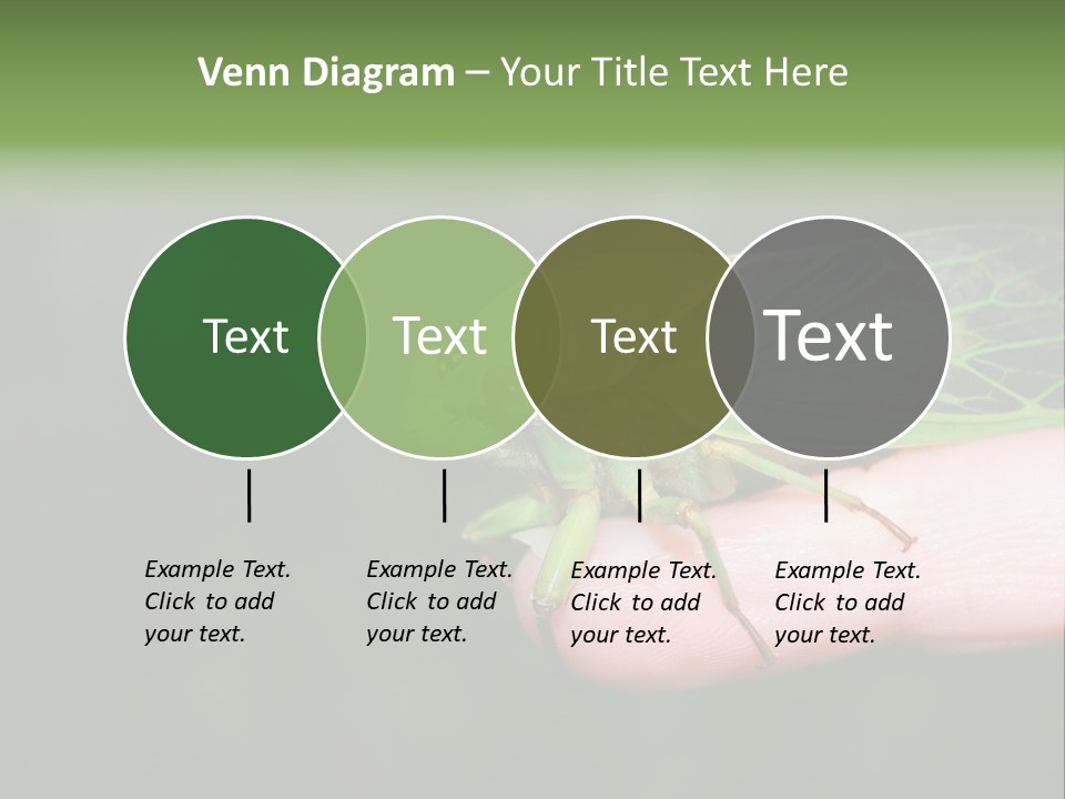 Specimen Closeup Detail PowerPoint Template