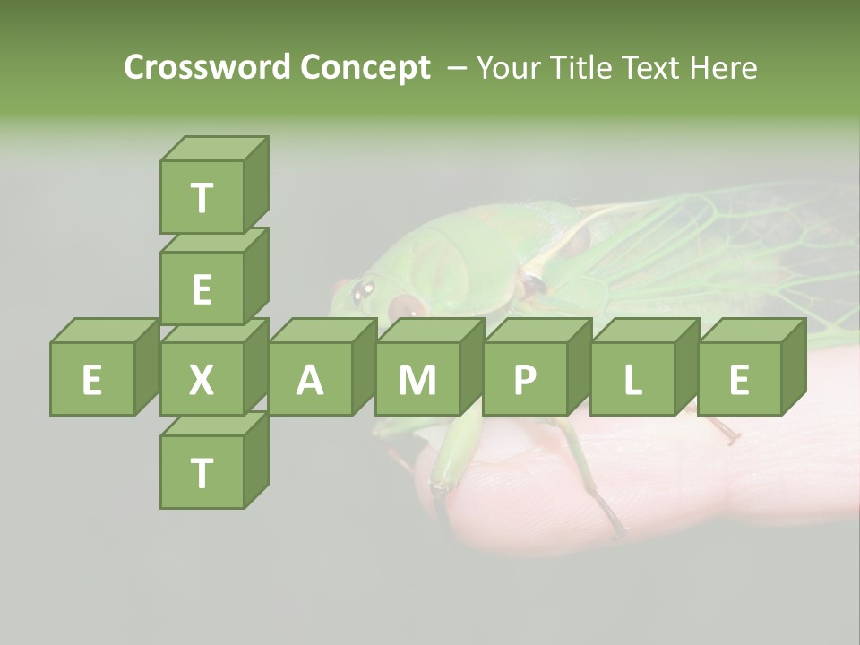 Specimen Closeup Detail PowerPoint Template