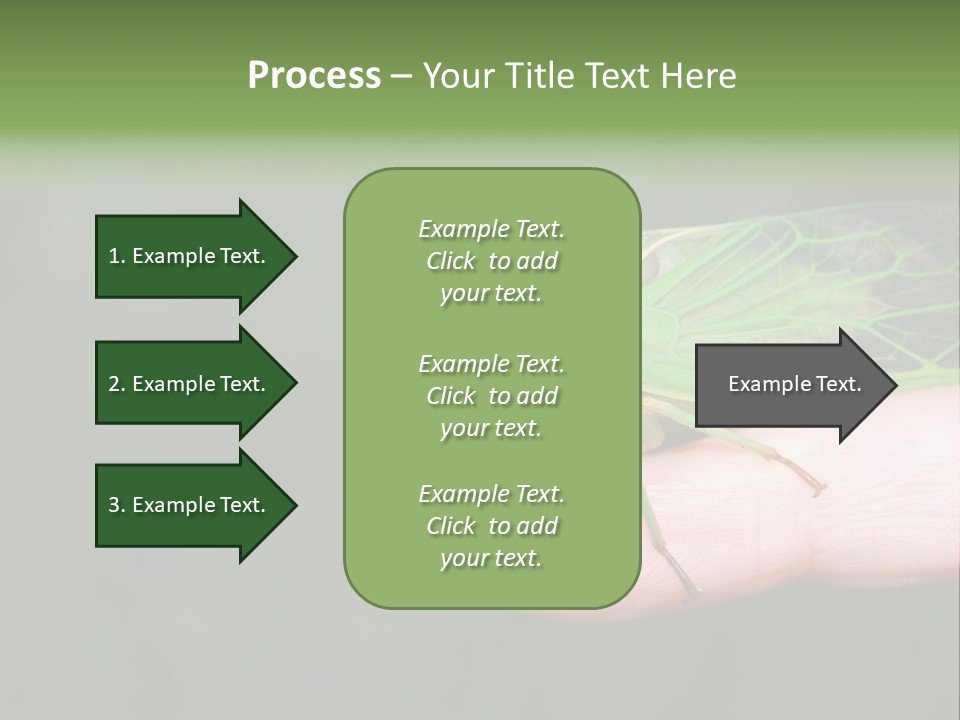 Specimen Closeup Detail PowerPoint Template