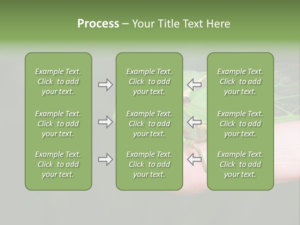 Specimen Closeup Detail PowerPoint Template