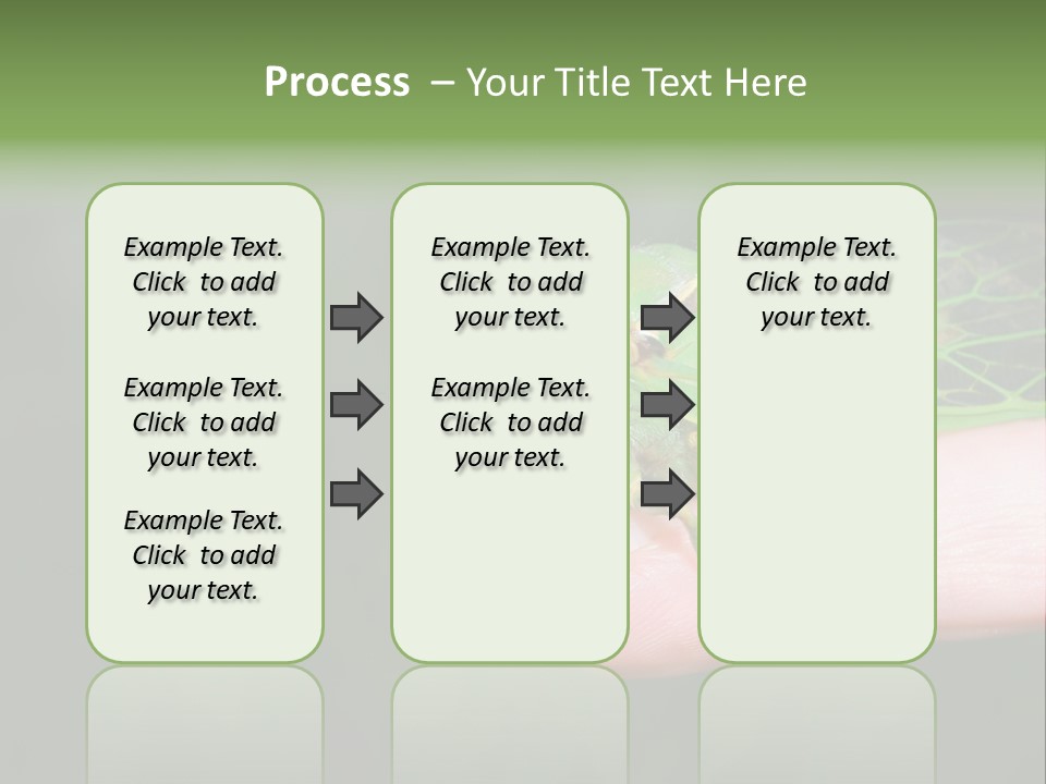 Specimen Closeup Detail PowerPoint Template