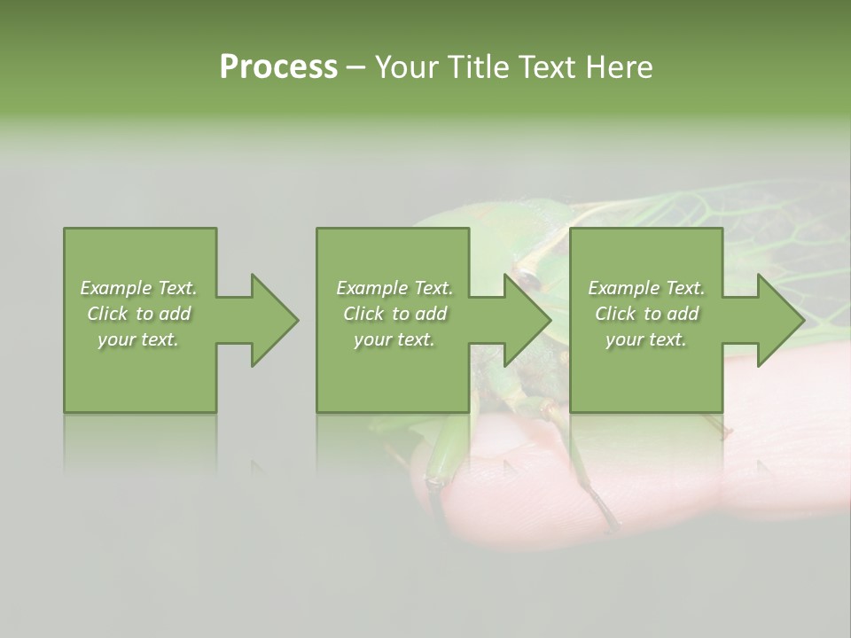 Specimen Closeup Detail PowerPoint Template