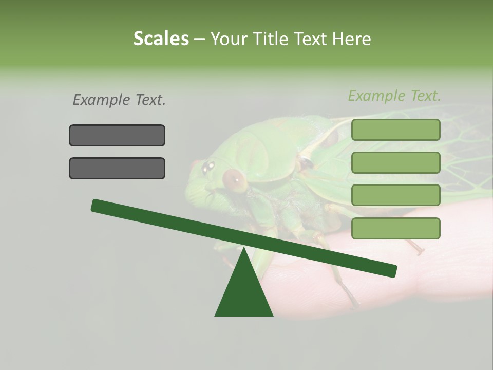 Specimen Closeup Detail PowerPoint Template