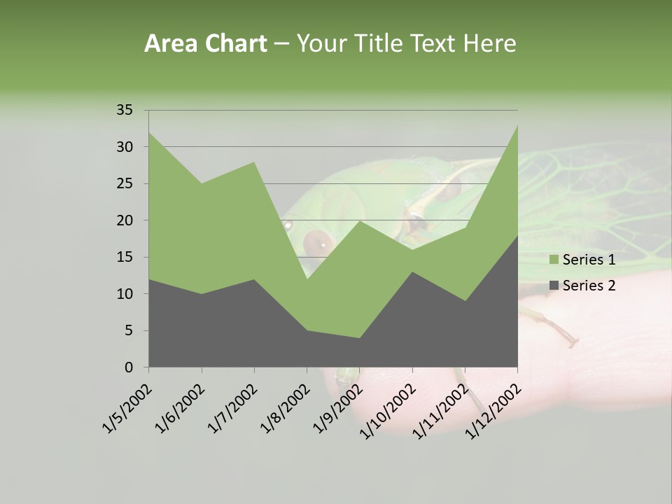 Specimen Closeup Detail PowerPoint Template