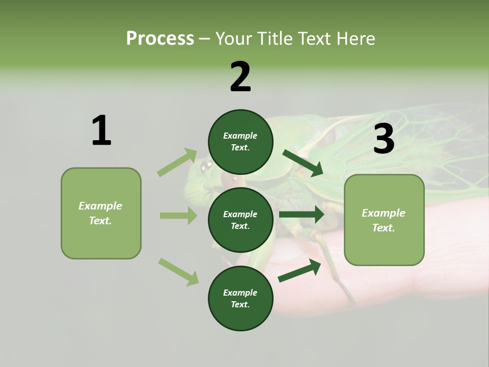 Specimen Closeup Detail PowerPoint Template