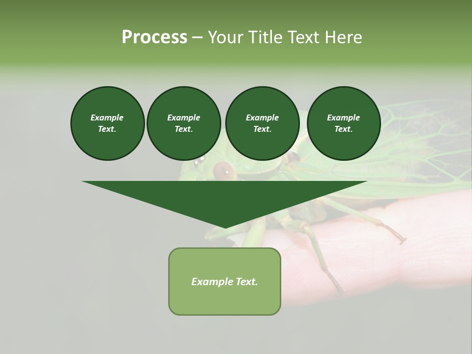 Specimen Closeup Detail PowerPoint Template