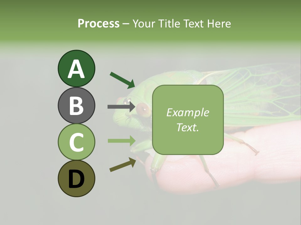 Specimen Closeup Detail PowerPoint Template