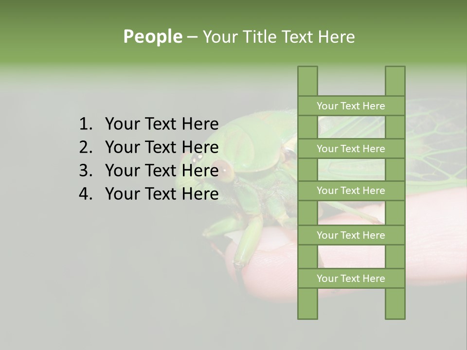 Specimen Closeup Detail PowerPoint Template