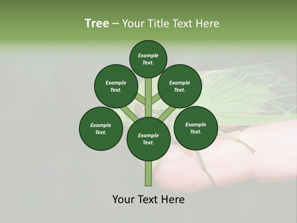 Specimen Closeup Detail PowerPoint Template