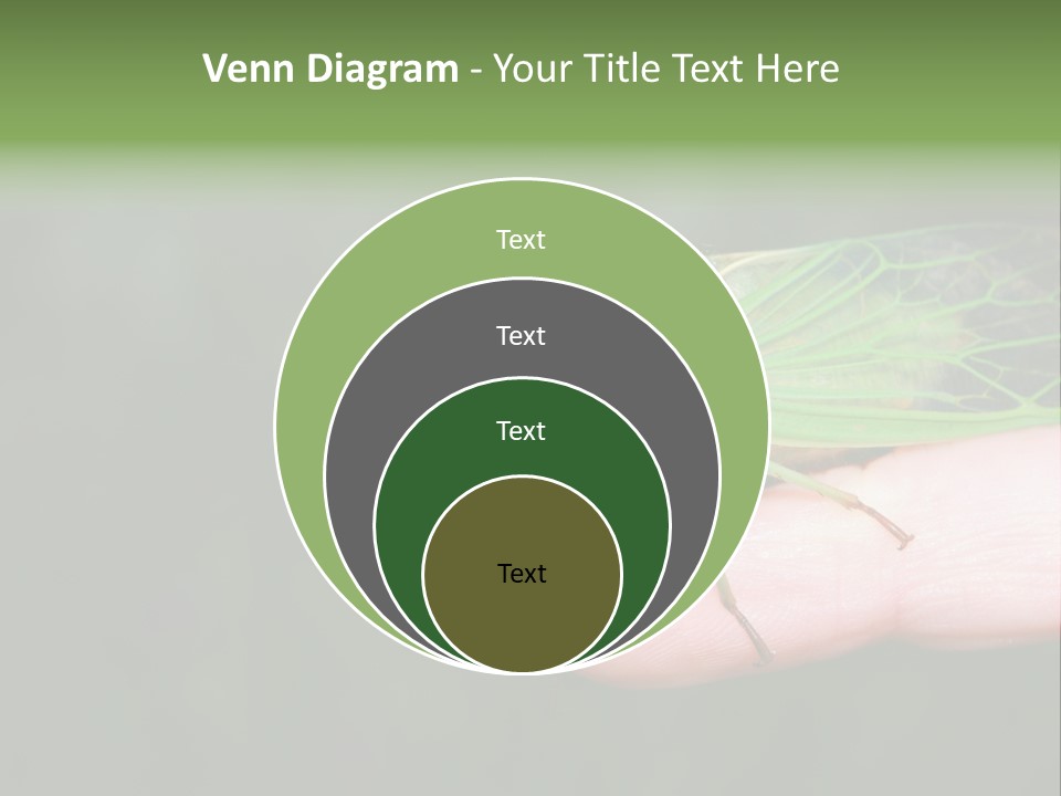 Specimen Closeup Detail PowerPoint Template