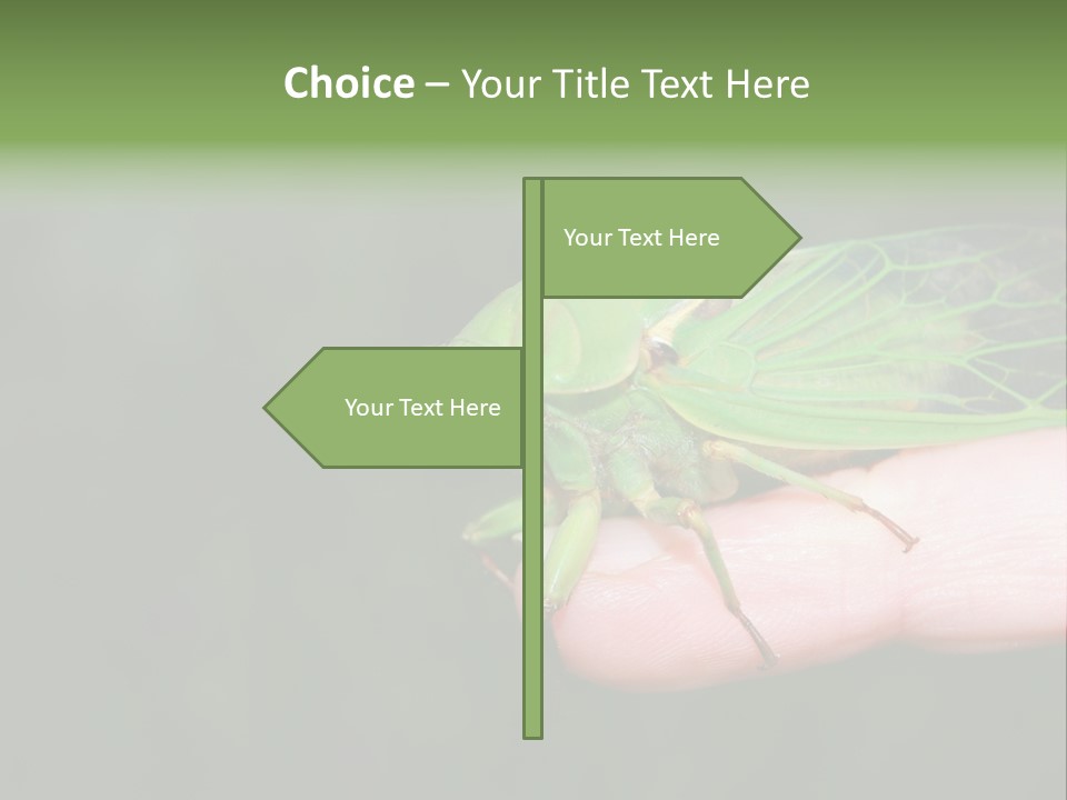 Specimen Closeup Detail PowerPoint Template