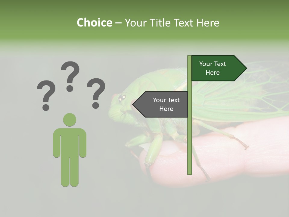 Specimen Closeup Detail PowerPoint Template