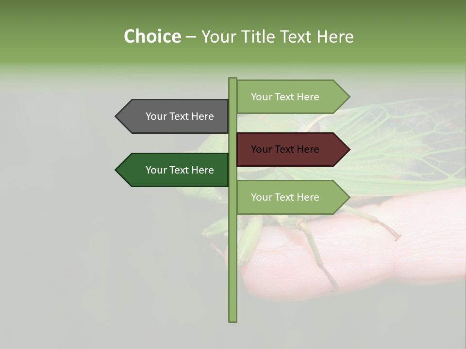 Specimen Closeup Detail PowerPoint Template