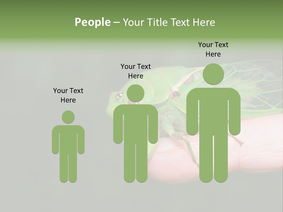 Specimen Closeup Detail PowerPoint Template