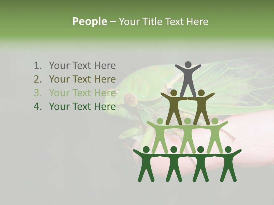 Specimen Closeup Detail PowerPoint Template