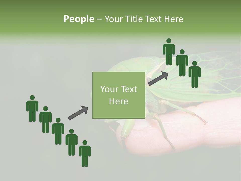 Specimen Closeup Detail PowerPoint Template