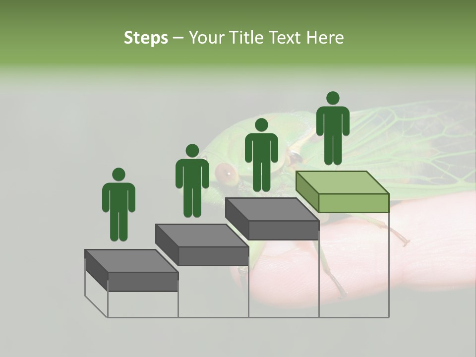 Specimen Closeup Detail PowerPoint Template