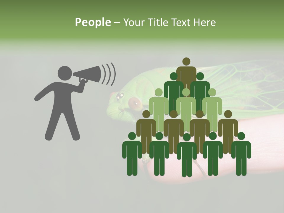 Specimen Closeup Detail PowerPoint Template