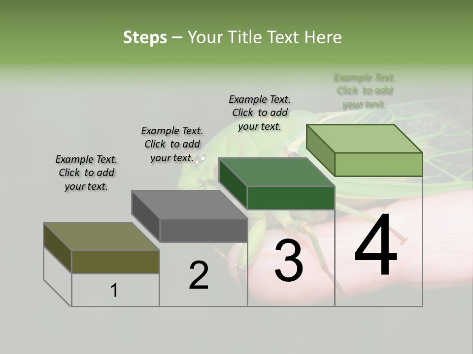 Specimen Closeup Detail PowerPoint Template