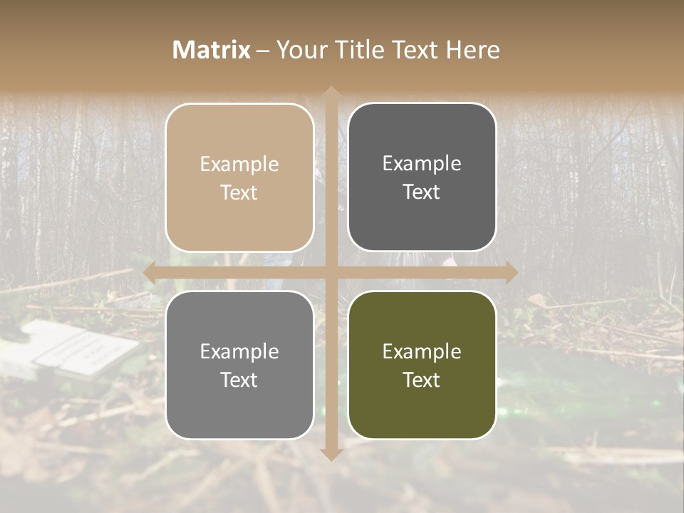 Kid Ecology White PowerPoint Template