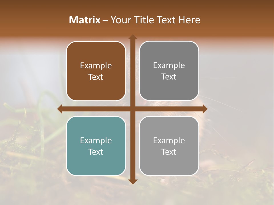 Summer Horizontal Wildlife PowerPoint Template