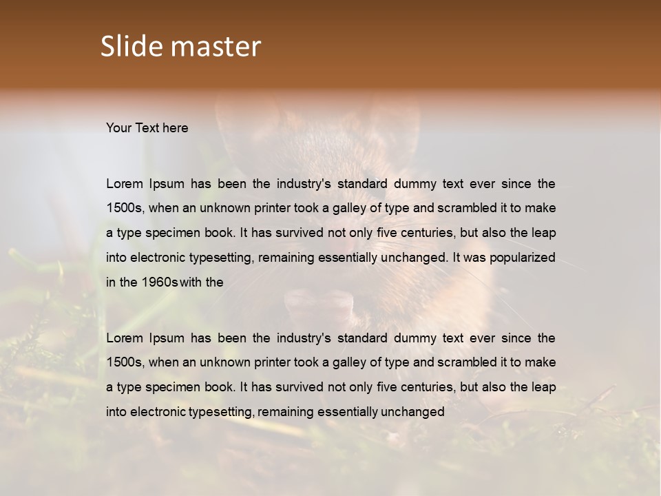 Summer Horizontal Wildlife PowerPoint Template